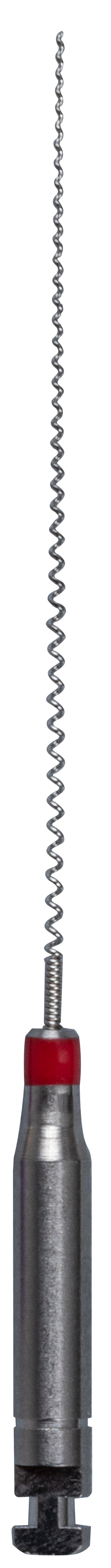 6FC4028C84C1D6D90342C25E8DDEB9C4