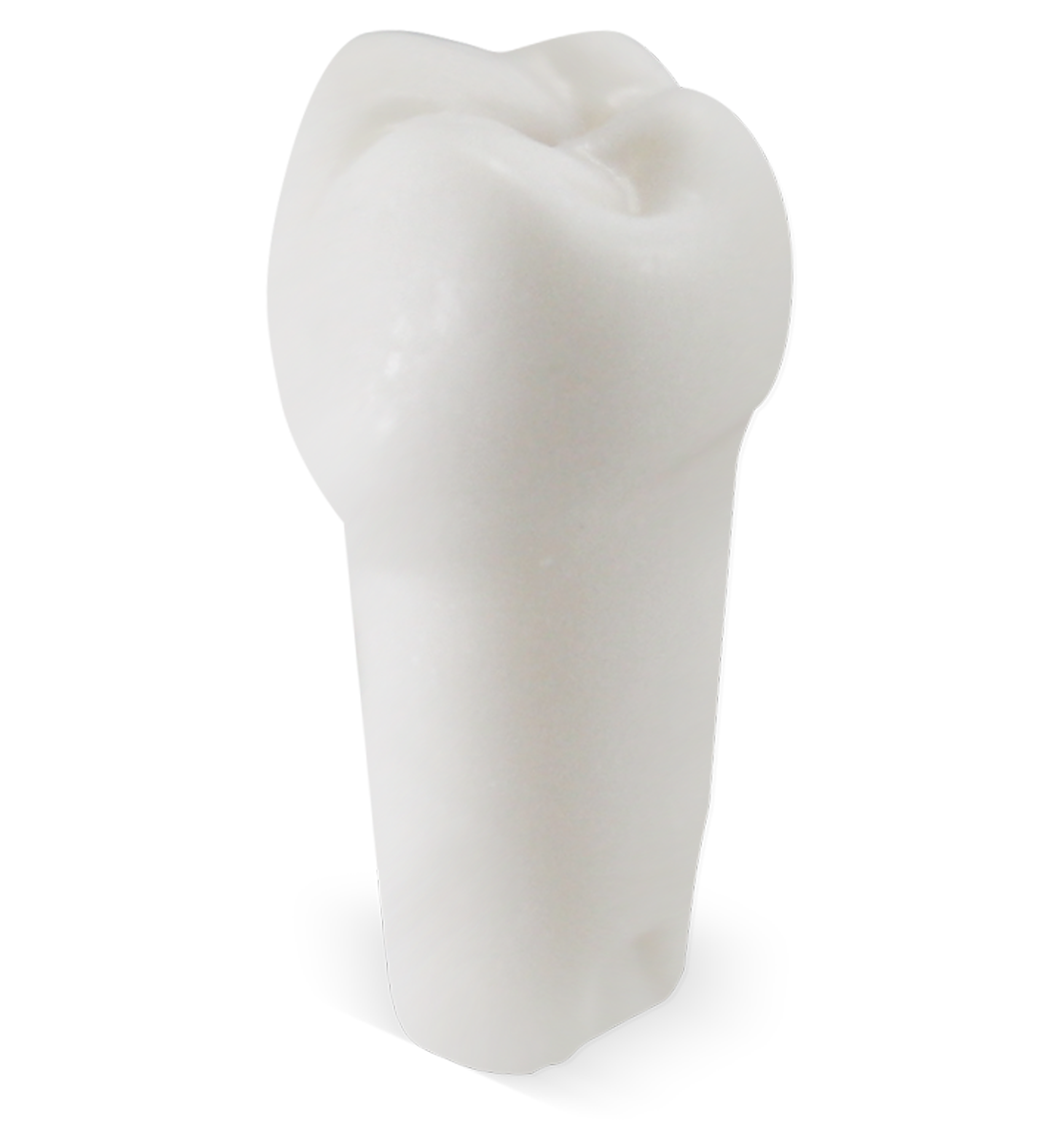 Pedo M400 Tooth #S image