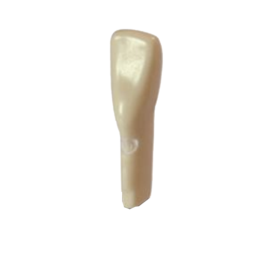 #25 ModuPro One M300 Tooth product image
