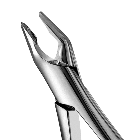 #150 Apical Forcep Unpacked product image