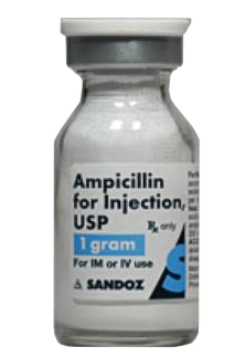 Antibiotic Ampicillin Sodium 1 Gram / 15 mL Injection Vial 15 mL ...