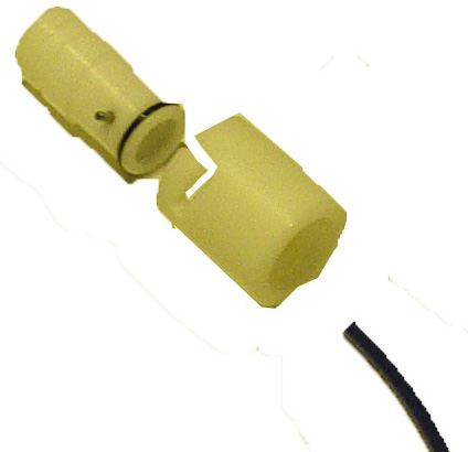 QD Water Bottle HD product image