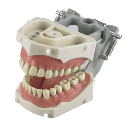 76541ADD662C807477683CCB09779DF5