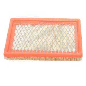 Replacement Filter for the SandStorm Professional and the Splash Vac product image