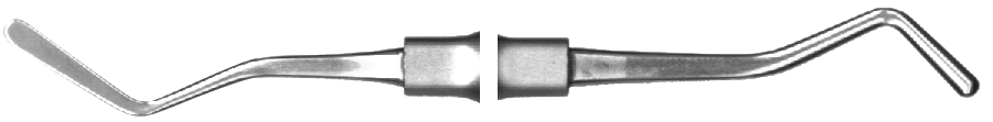 7EA7150C2C51529EC9B2294D361FECB8