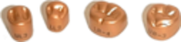 810F7294091EDD3C078C84CBD44A9885