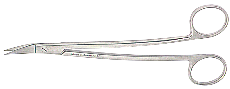 81B6AD78BBE7AC0752A4726E9423ABD4