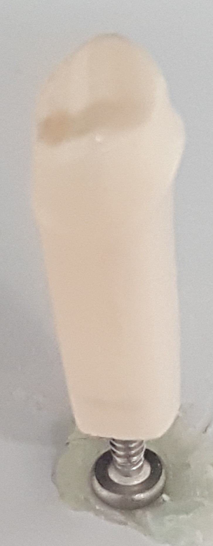 #20 F/C Crown Prep Tooth product image
