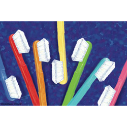 8788FE9CB964592D0DCE070F6FD880B8