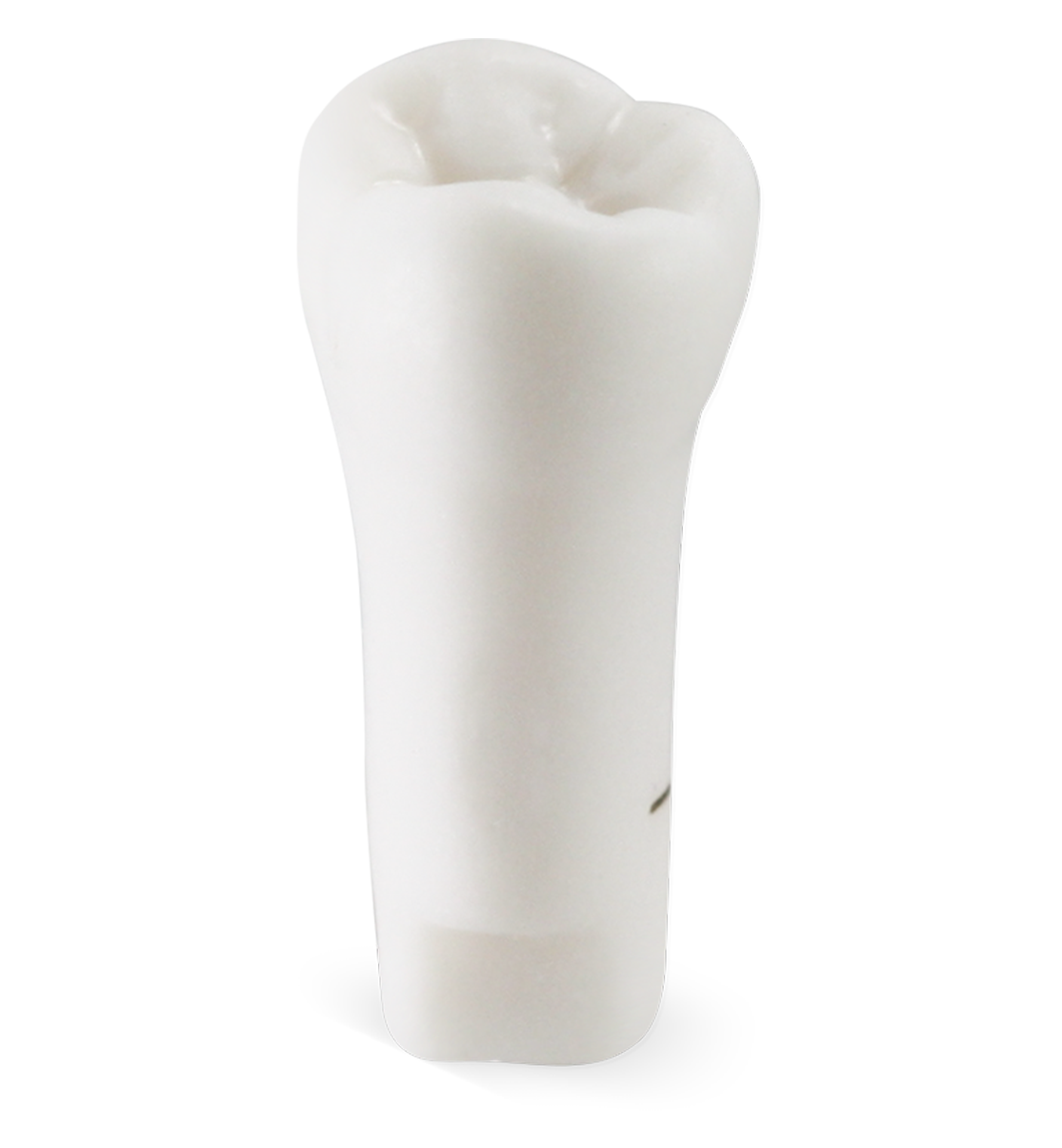 Pedo M400 Tooth #I image