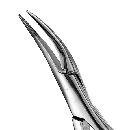#300 Serrated Root Forcep Unpacked product image