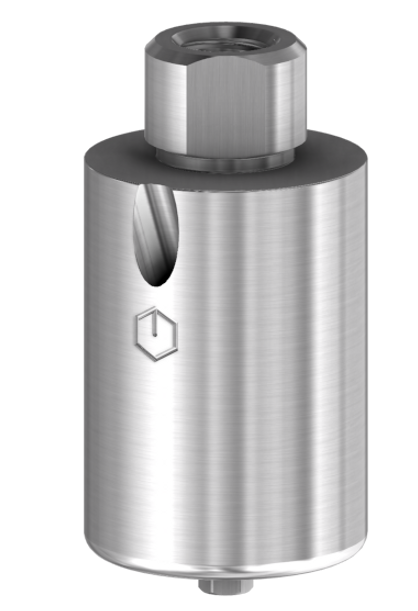 Angulated Screw Channel Premilled Titanium Blank  4.5  61.313 Internal HEX BH product image