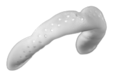 9545EABCFC5449D37749DF6C755237F5