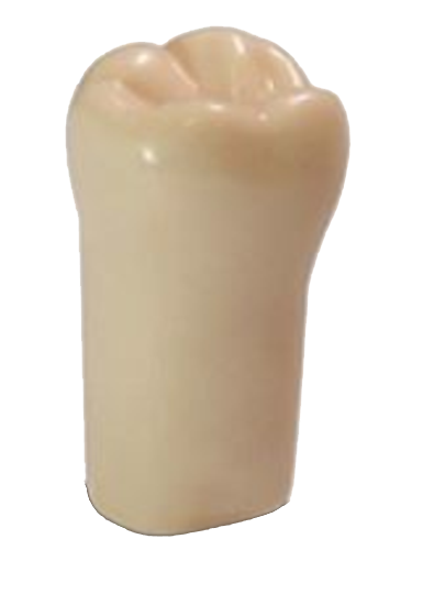 #32 ModuPro One M300 Tooth product image