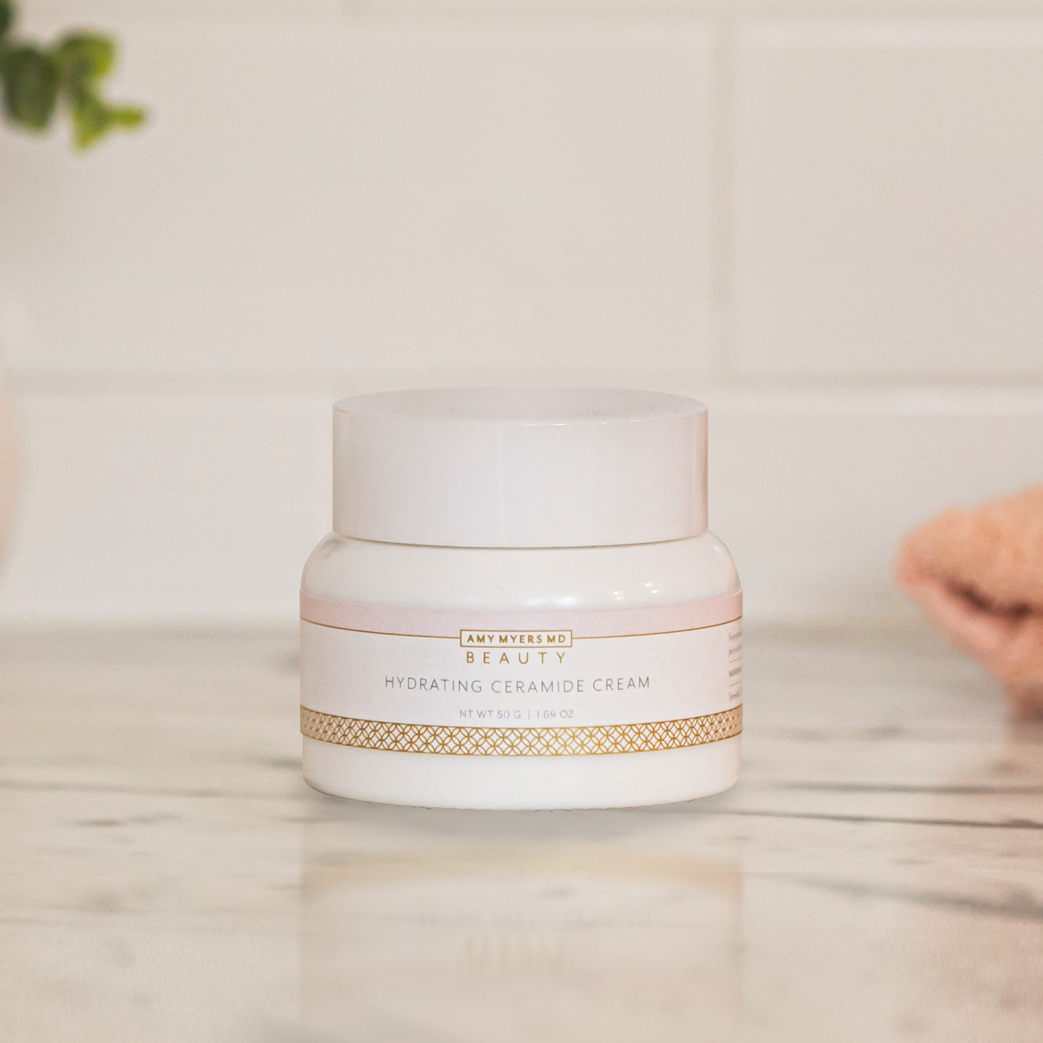 96FB63D92549D4E0454D23F296D21F1B