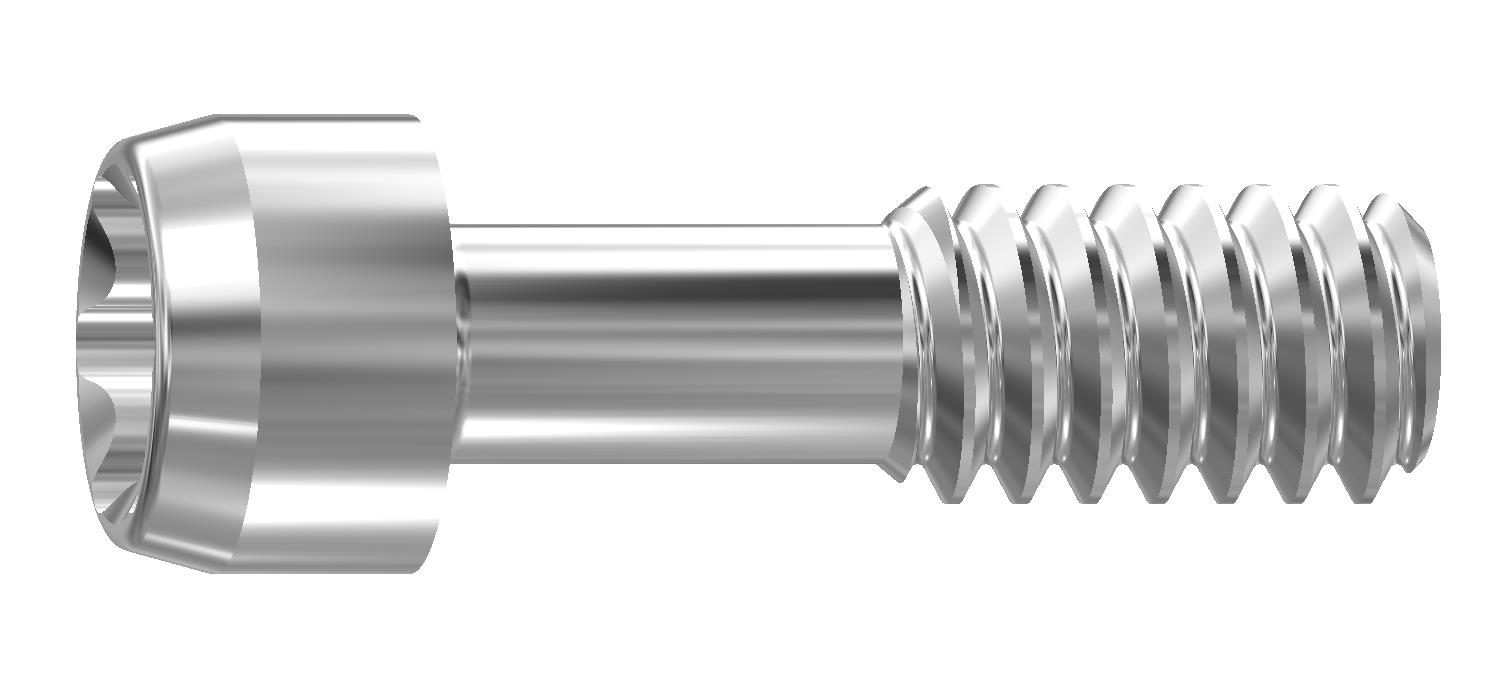 Screw BMK and ACT NP Torx Ball / Bridge Screw M1.6x5.5 product image