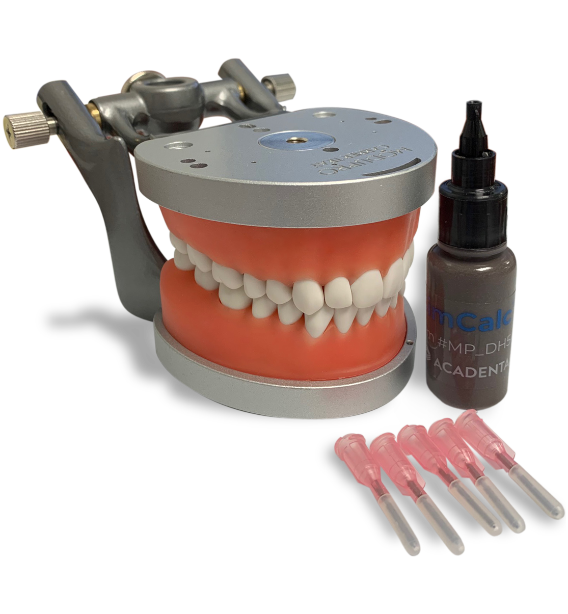 Acadental Hygiene Model Ea product image
