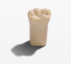 ModuPRO Pros Replacement Teeth MPR-M200 #19 product image