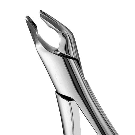 #151 Apical Forcep Unpacked product image
