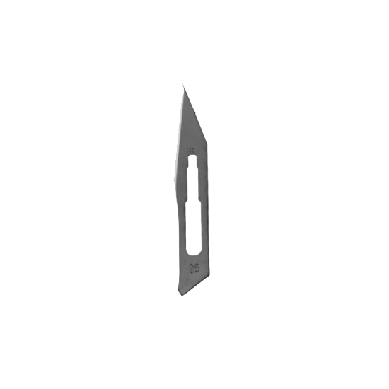 A0F46EED1289BF4849FF7316FFE3309B