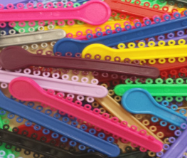 A1F623B243551DFF01D3FE581E74A32B