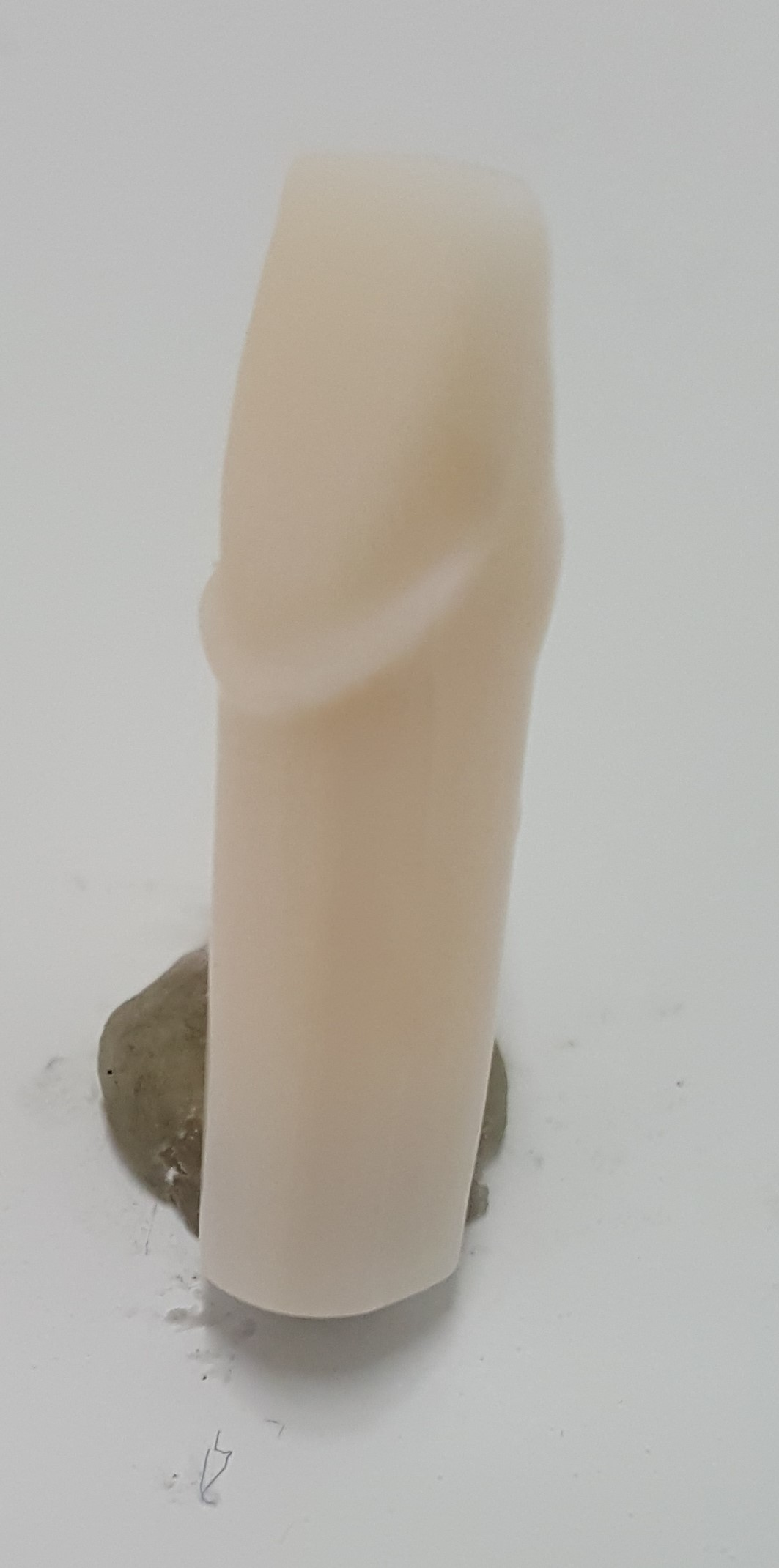 Model Tooth Veneer #8 A21A-UR-19R product image