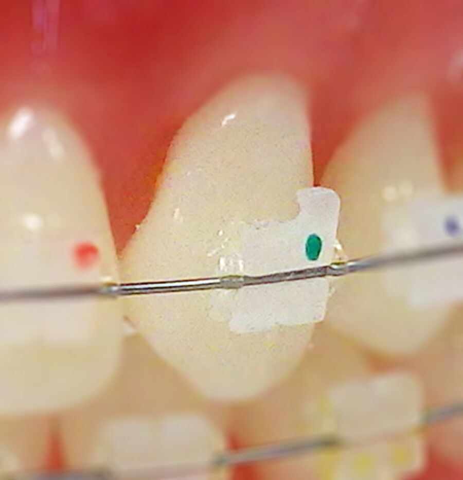 A6E63C0299223BF958D7932D714C1021