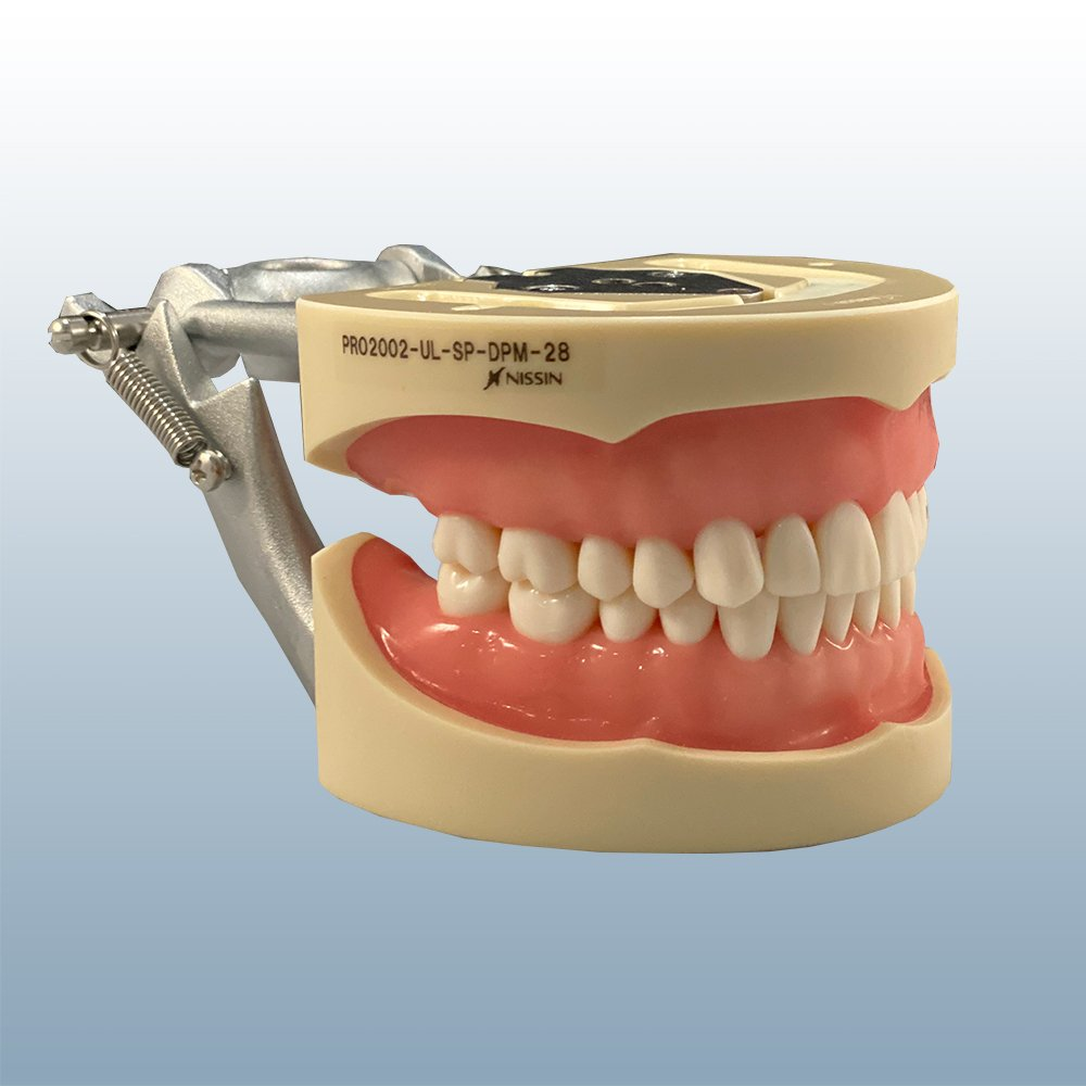 PRO2002-UL-SP-DPM-28: 200 28 Tooth Soft Pink GS-F Silicone Gingivae with Metal Plates product image