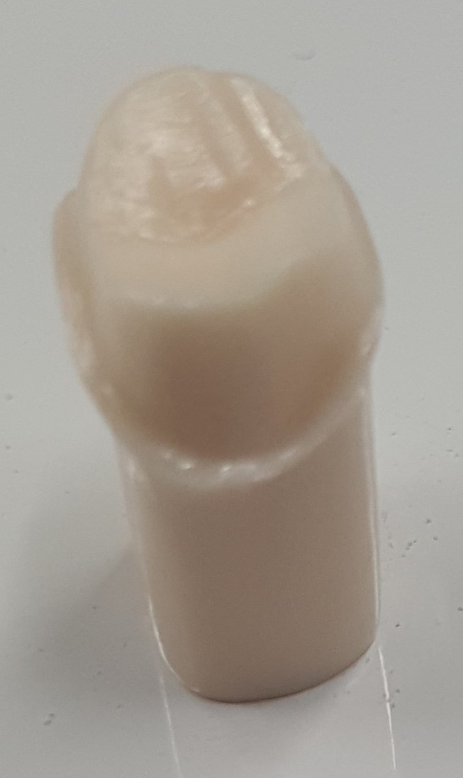 Crown Prep Teeth A21A-UR72A product image