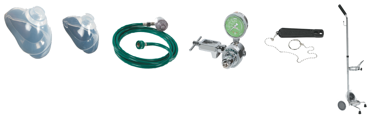 Oxygen Portable System product image