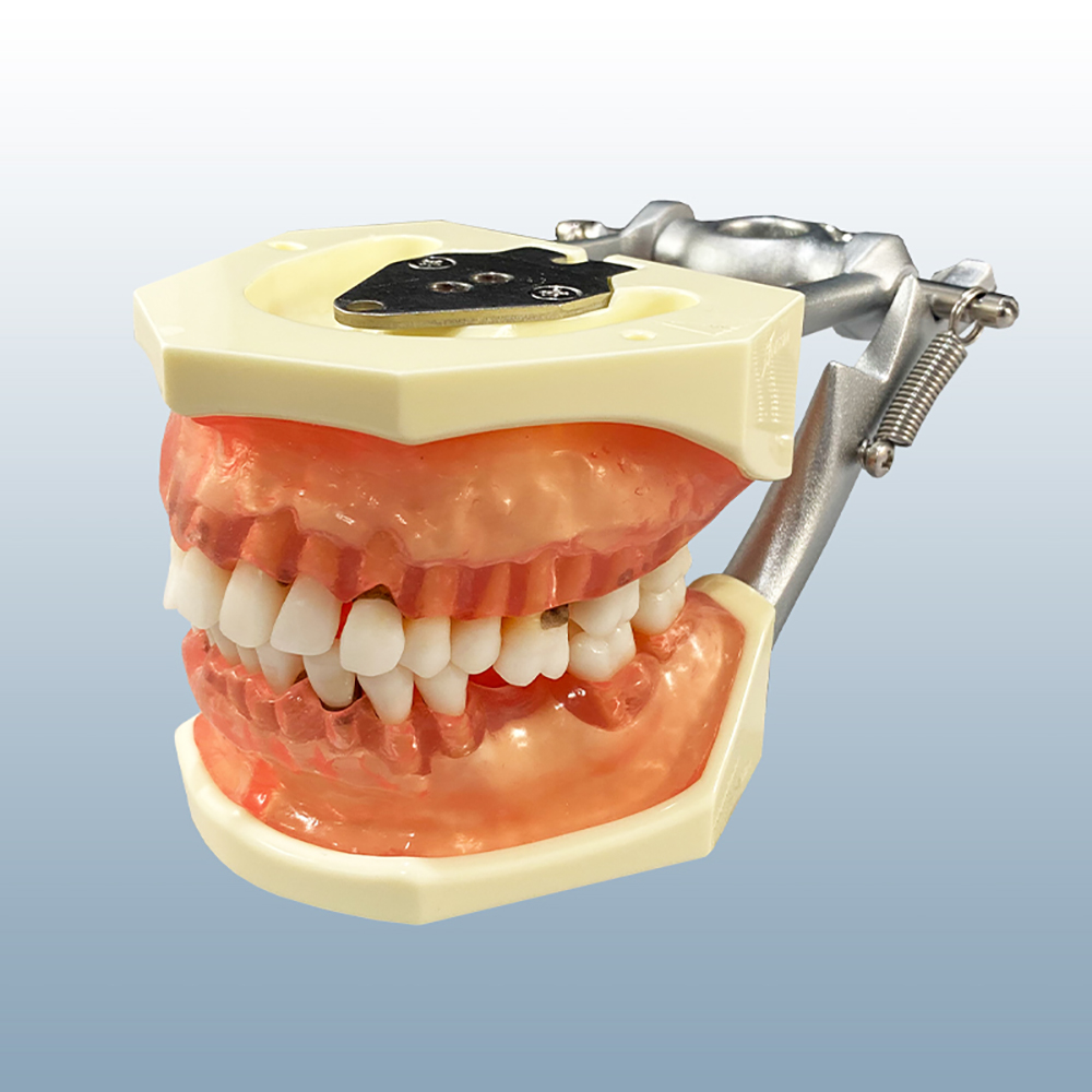 TR56C with Clear Gum Calculus Model product image