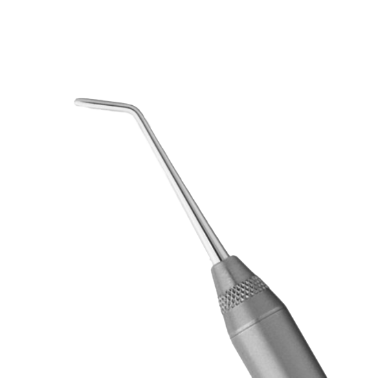 AF9FD553CEDE006EAE6EC8DD885BF450