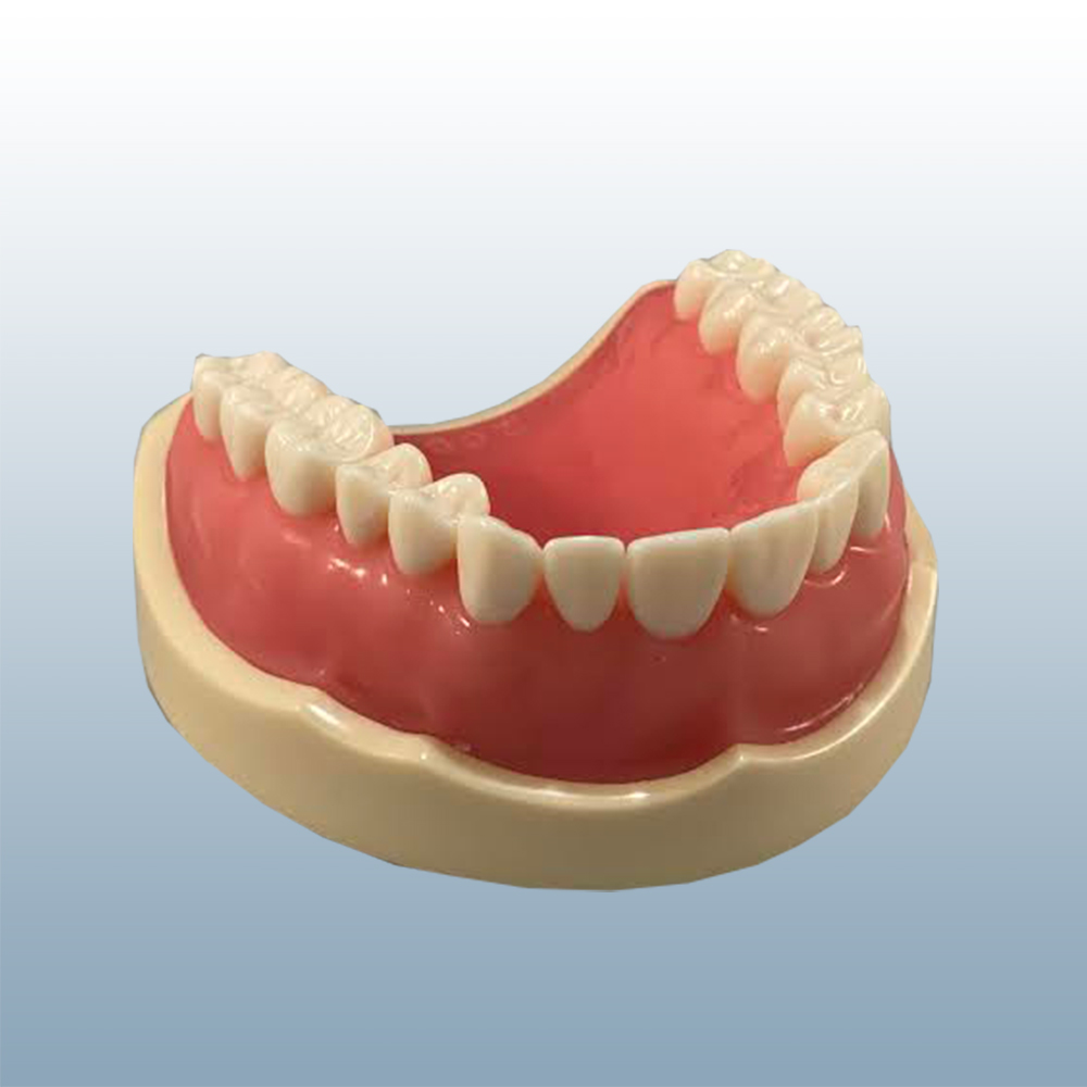 D95 Upper Arch Only - No Gums product image