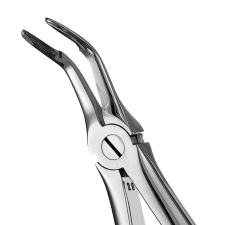 #46L European Style Serrated Root Forcep Unpacked product image