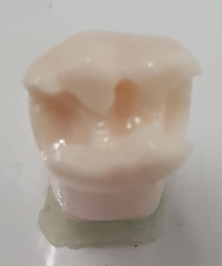 Crown Prep Teeth A21A-LL66 product image