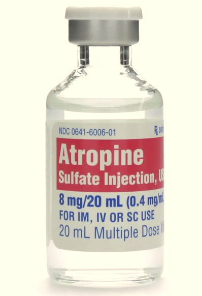 BCC5D359D2C8598AA11CBB379B2CA749