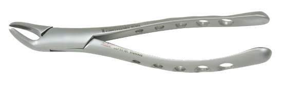 BE24268CF3164DA43854050734004A6B
