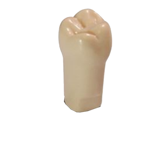 #02 ModuPro One M300 Tooth product image