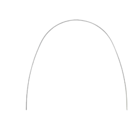 #0.019X0.025 Royal D-Arch Wire Undimpled Upper Pack of 10 image