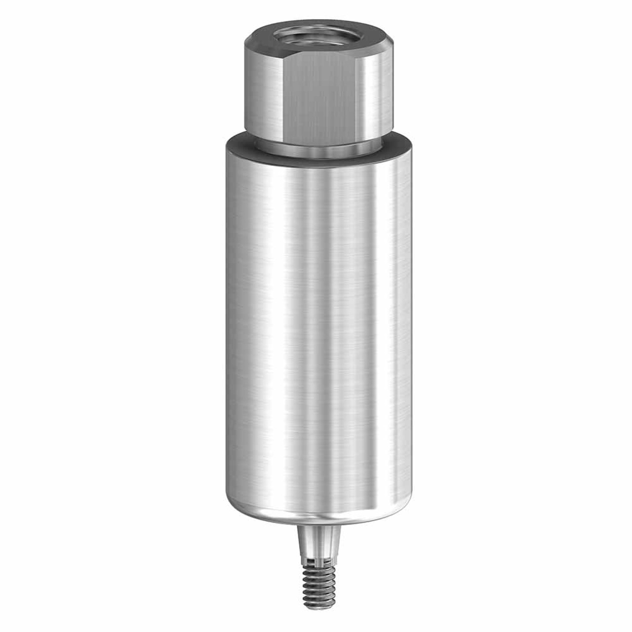 Premilled Blank 10mm Titanium Internal ANK product image