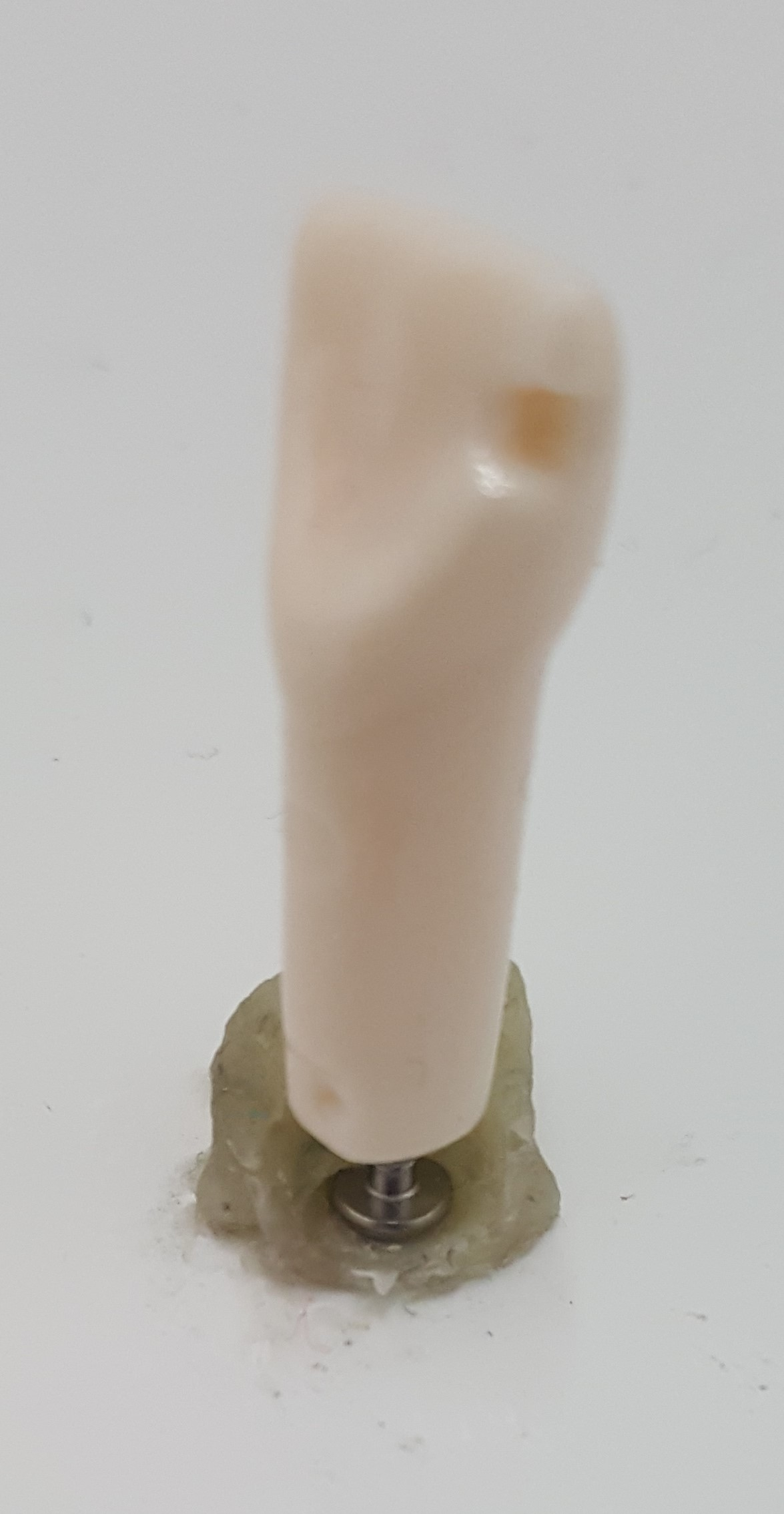 #8 Class III Prep ML product image