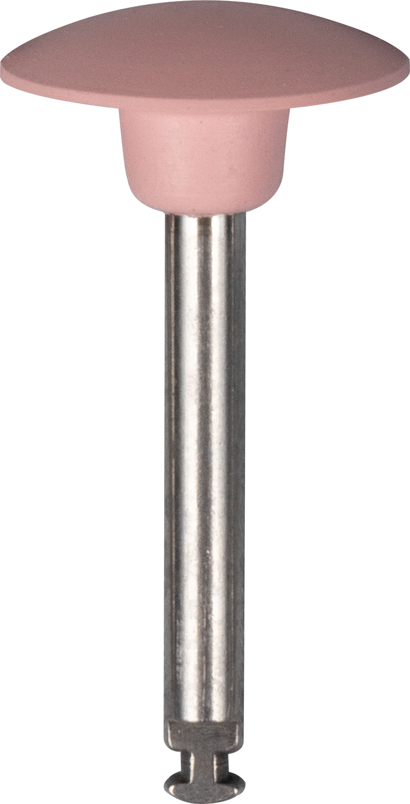 Beam™ Autoclavable Polishers Disc RA Fine Box of 12 product image