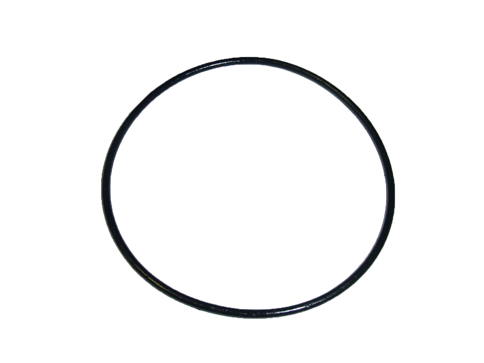 Oring for Vacuum Canister product image