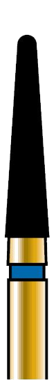 C55443DDE1E32DFC8BB8BB5F6AC79237