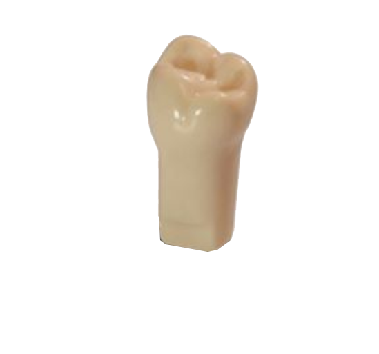 #15 ModuPro One M300 Tooth product image
