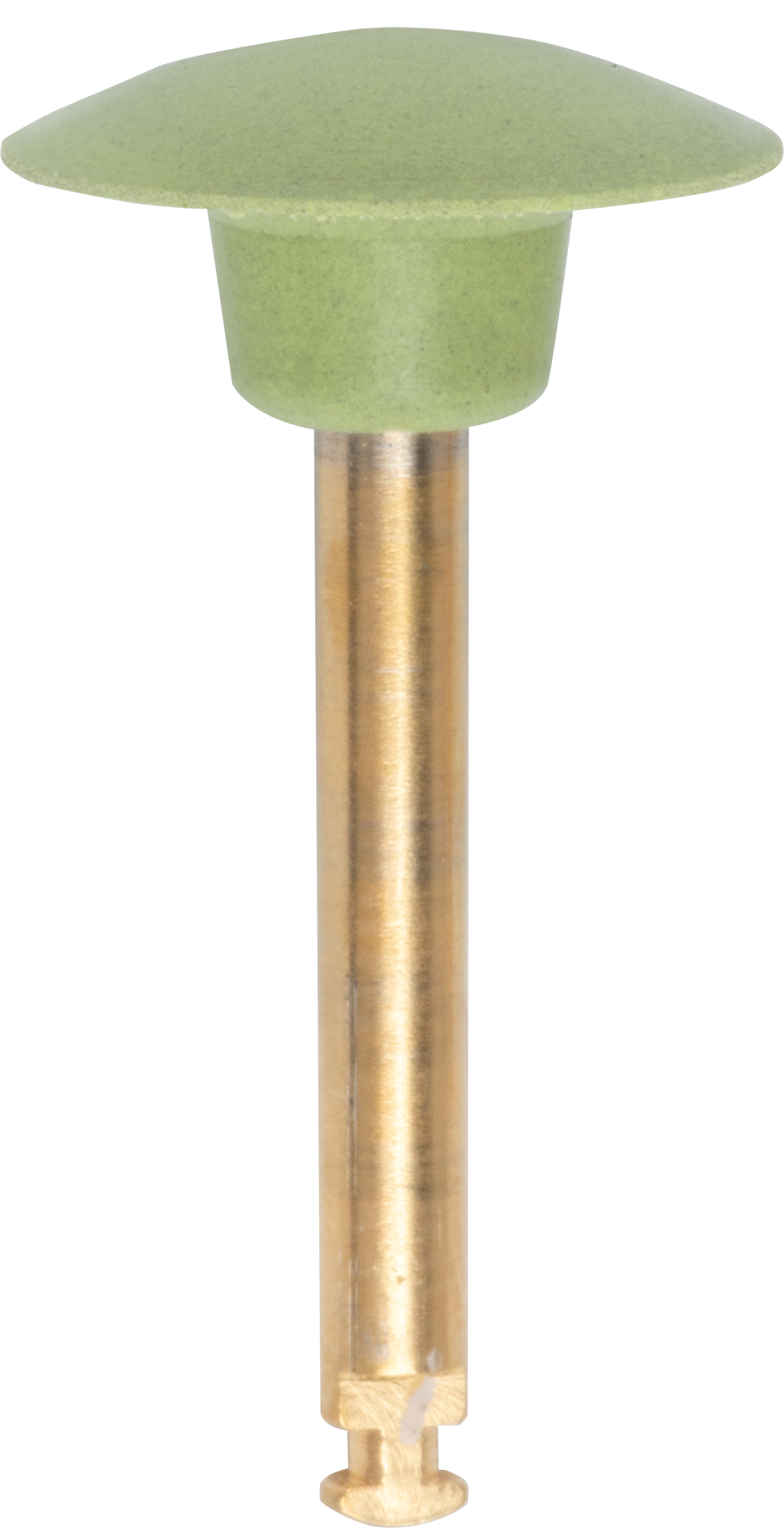 CA238AE3EF4A5220BC41CCDF50E4AABD