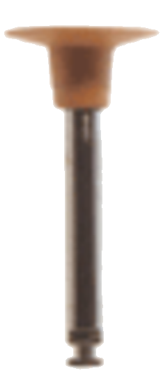 CAC9BDE16C9B250C4DCF5D19753FBE1B
