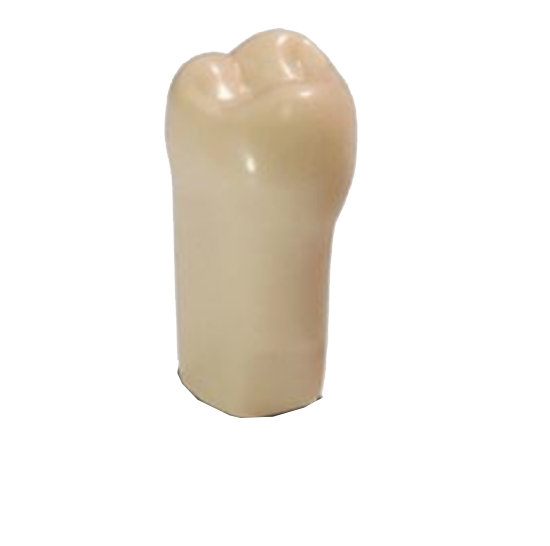 #01 ModuPro One M300 Tooth product image