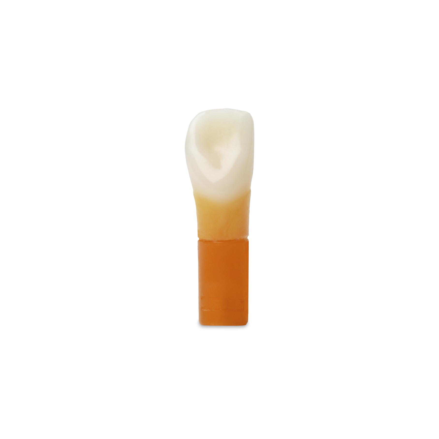 CBE5AC3996ADA277CA08FFE0E6A063ED