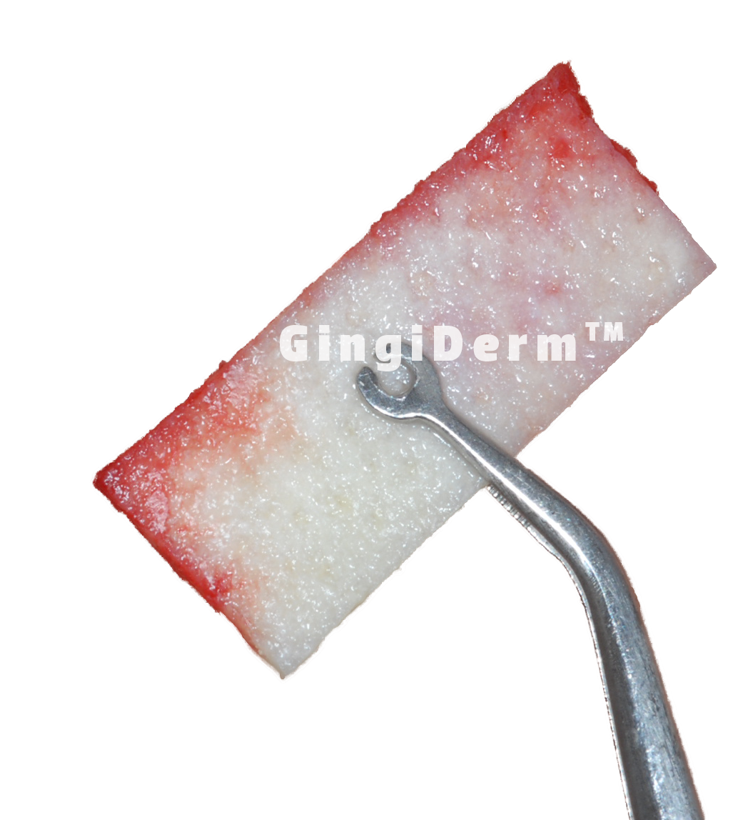 CCCD78895B160EB63839EB53A01FBE2F